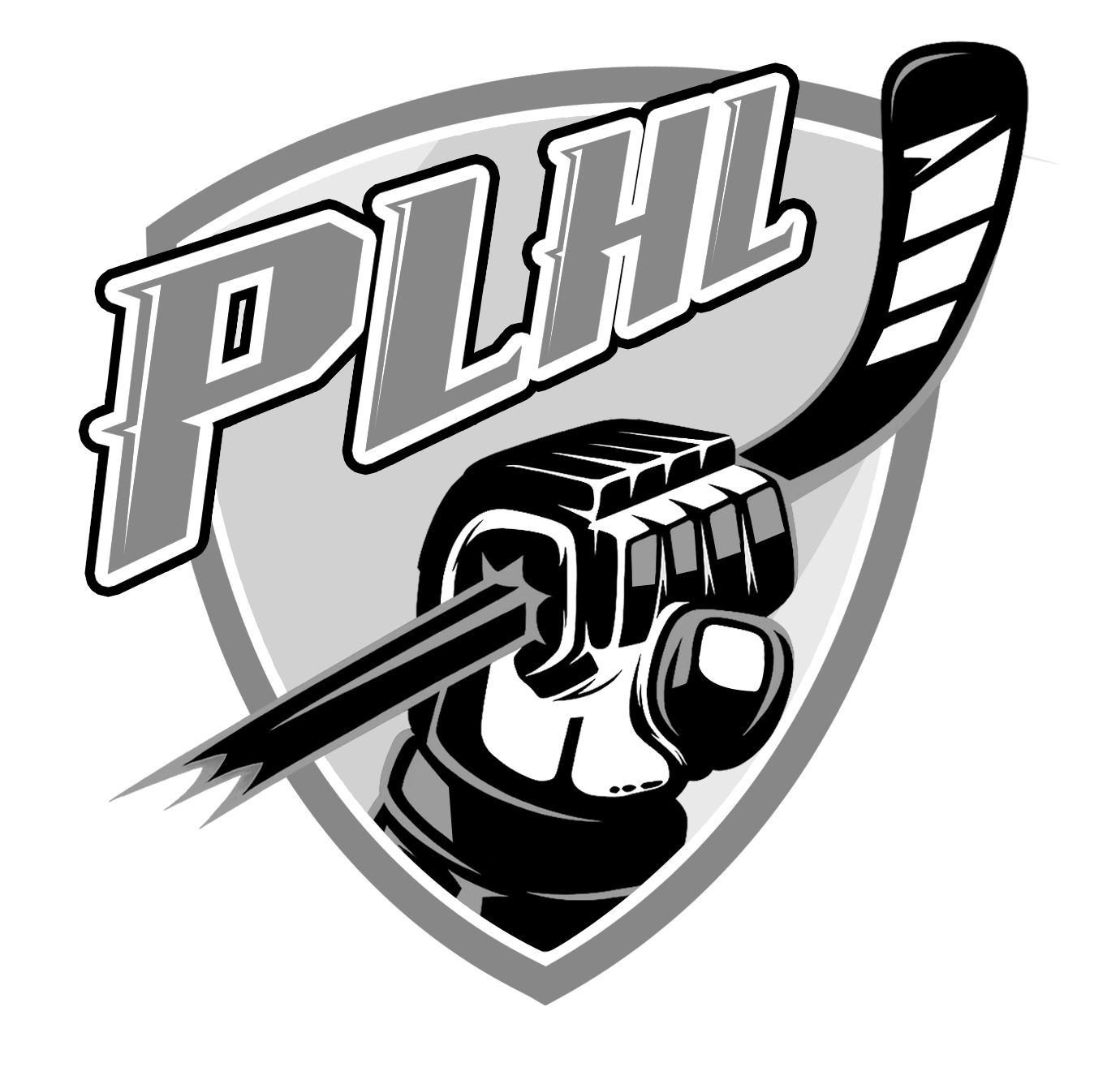 Павлодарская любительская хокейная лига