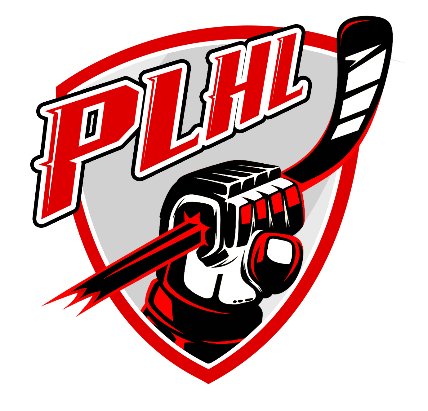 Павлодарская любительская хокейная лига